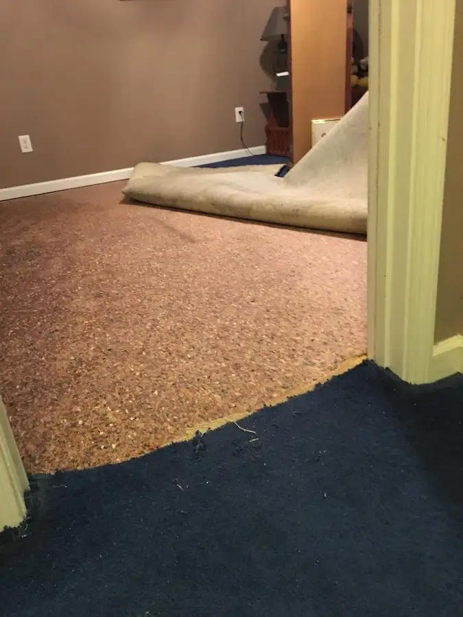Carpet pad removal revealing water damage during Drying & Dehumidification in Bayonne