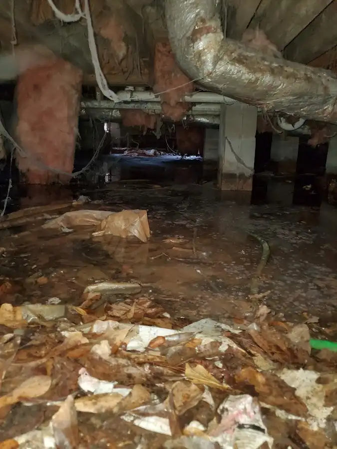 Crawl space flood assessment for Commercial Water Damage Restoration in Bayonne
